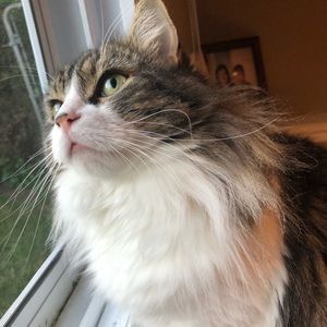 Meet your Posher, Maggie young